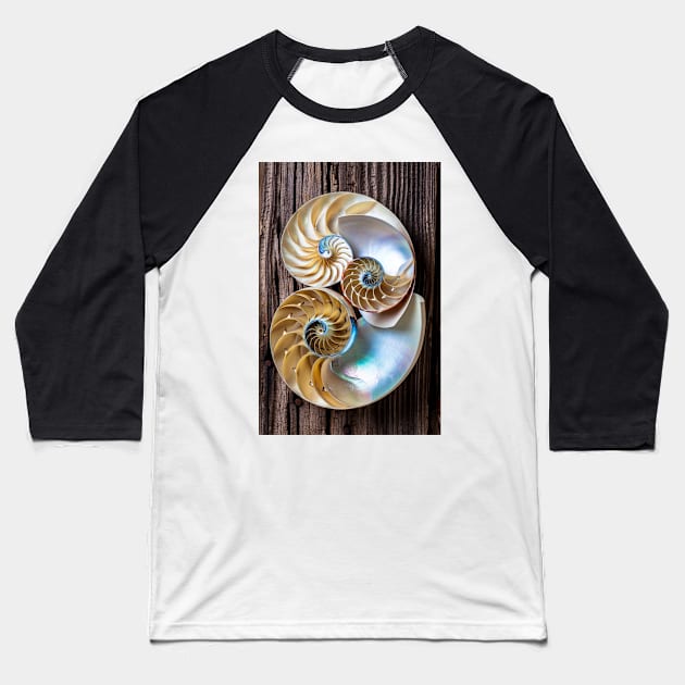 Three chambered nautilus Baseball T-Shirt by photogarry